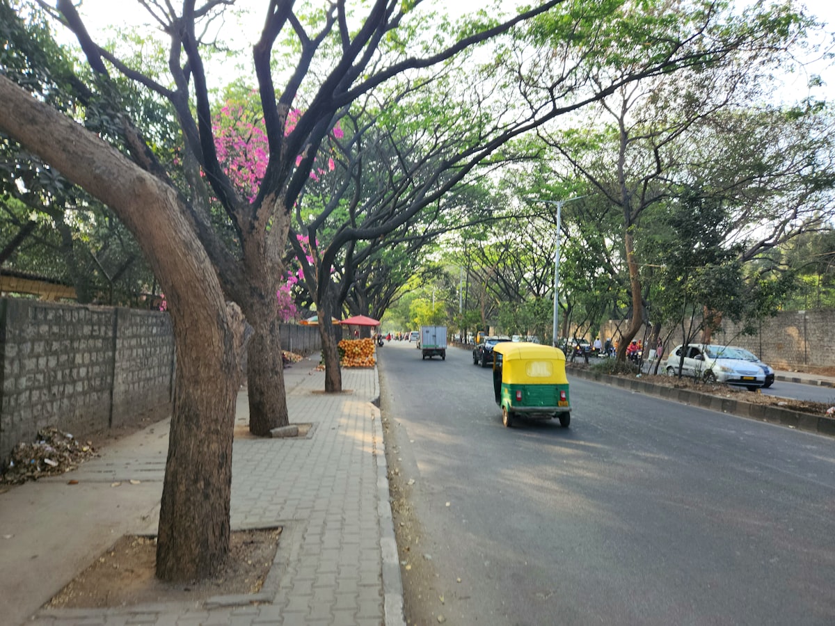 Wide Internal Roads